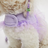 Louisdog Walk With Me/Viola Tutu