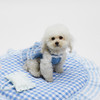 Louisdog Blue Wave Dress