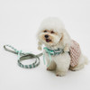 Louisdog Walk With Me/La Campagna