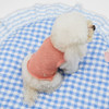 Louisdog Scassi Tank Top
