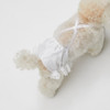 Louisdog Glitter Brief Pants