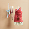 Louisdog Cherry Teddy Walking Jacket