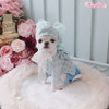 Wooflink Diamant De Carnaval Beret