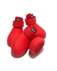 Wagwear Wagwellies Classic Dog Shoes