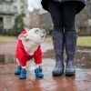Wagwear Wagwellies Classic Dog Shoes
