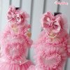 Wooflink Pink Ballerina Dress