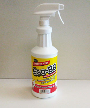 Eco88 Pet Stain & Odor Remover