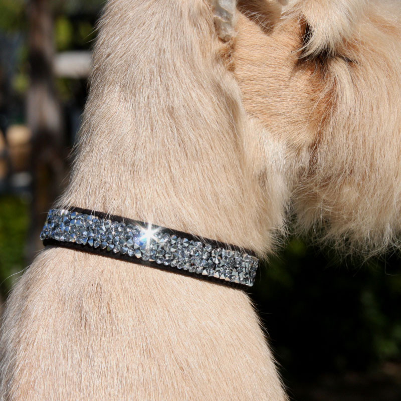 Zebra Crystal Rocks Collar main image 0