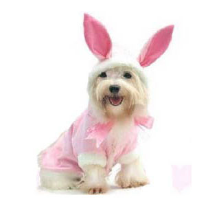 dog bunny costumes