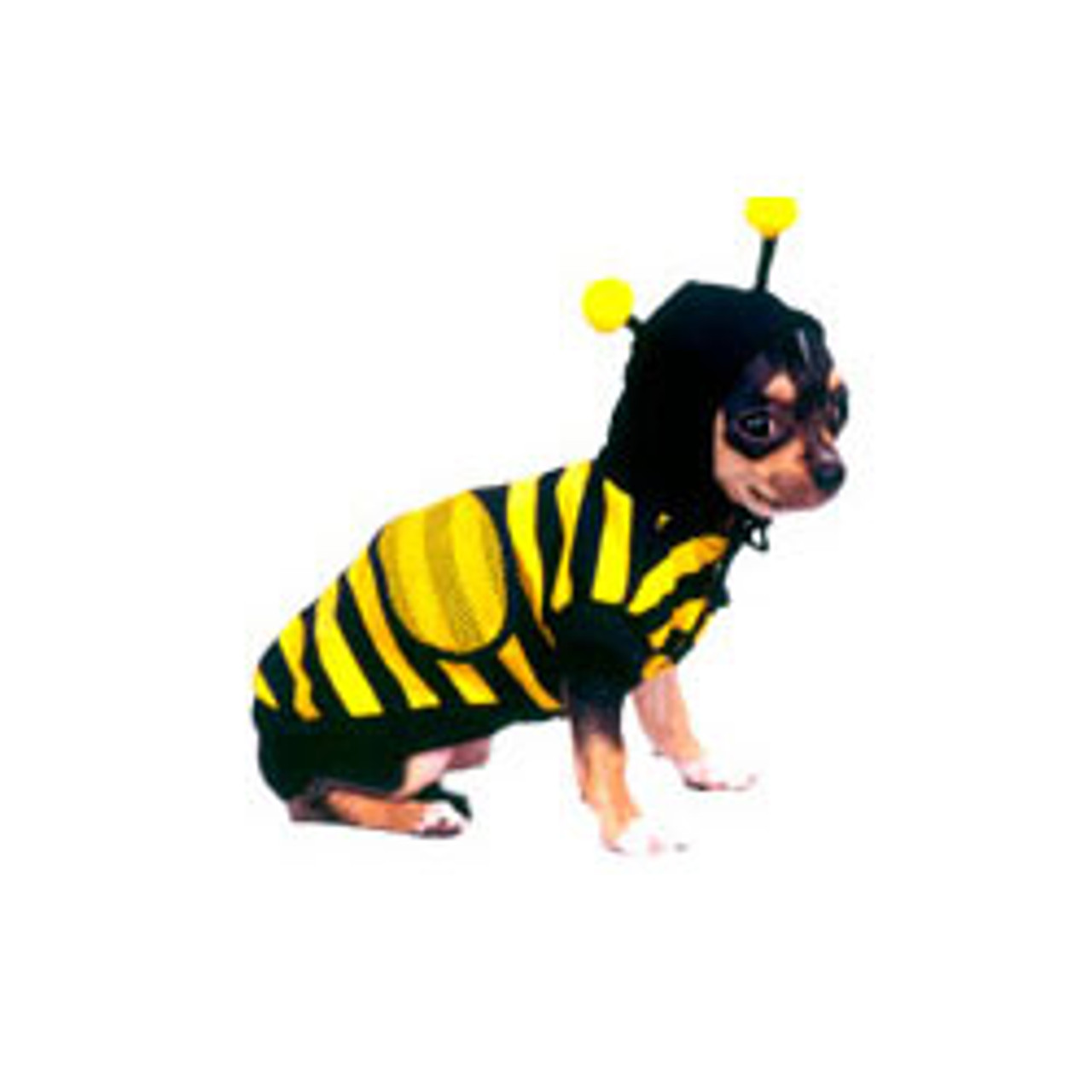 Baby Bee Dog Costume