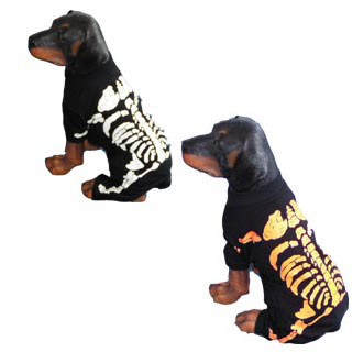 large skeleton dog costume