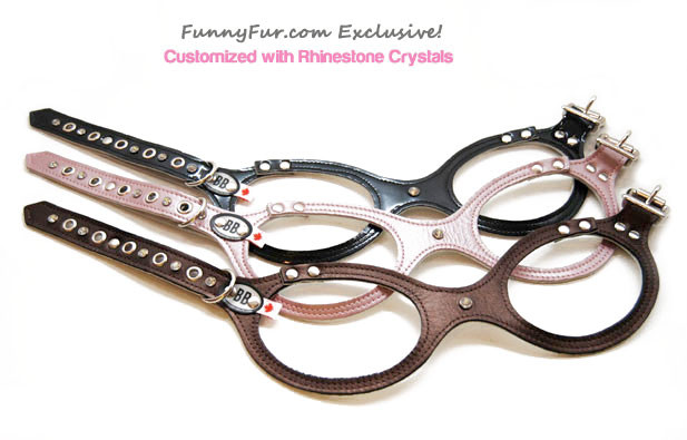 Buddy Belt Dog Harness - FunnyFur.com Exclusive Edition Midnight