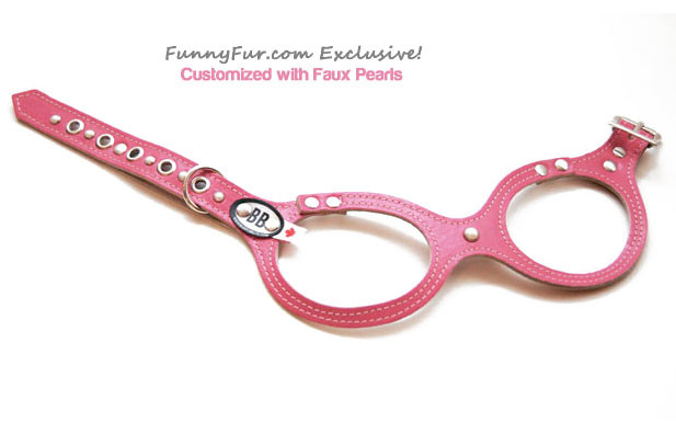 Buddy Belt Dog Harness - FunnyFur.com Exclusive Edition Midnight