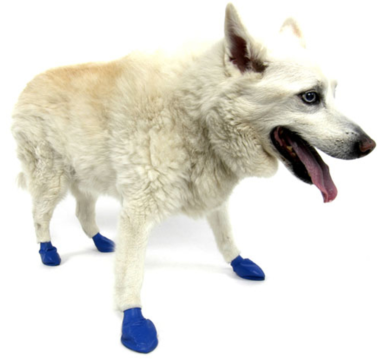 PawZ® Rubber Dog Boots, dog Boots, Shoes & Socks