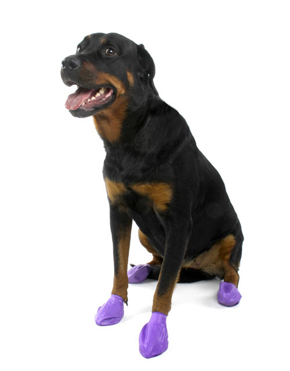 Pawz Natural Rubber Dog Boots