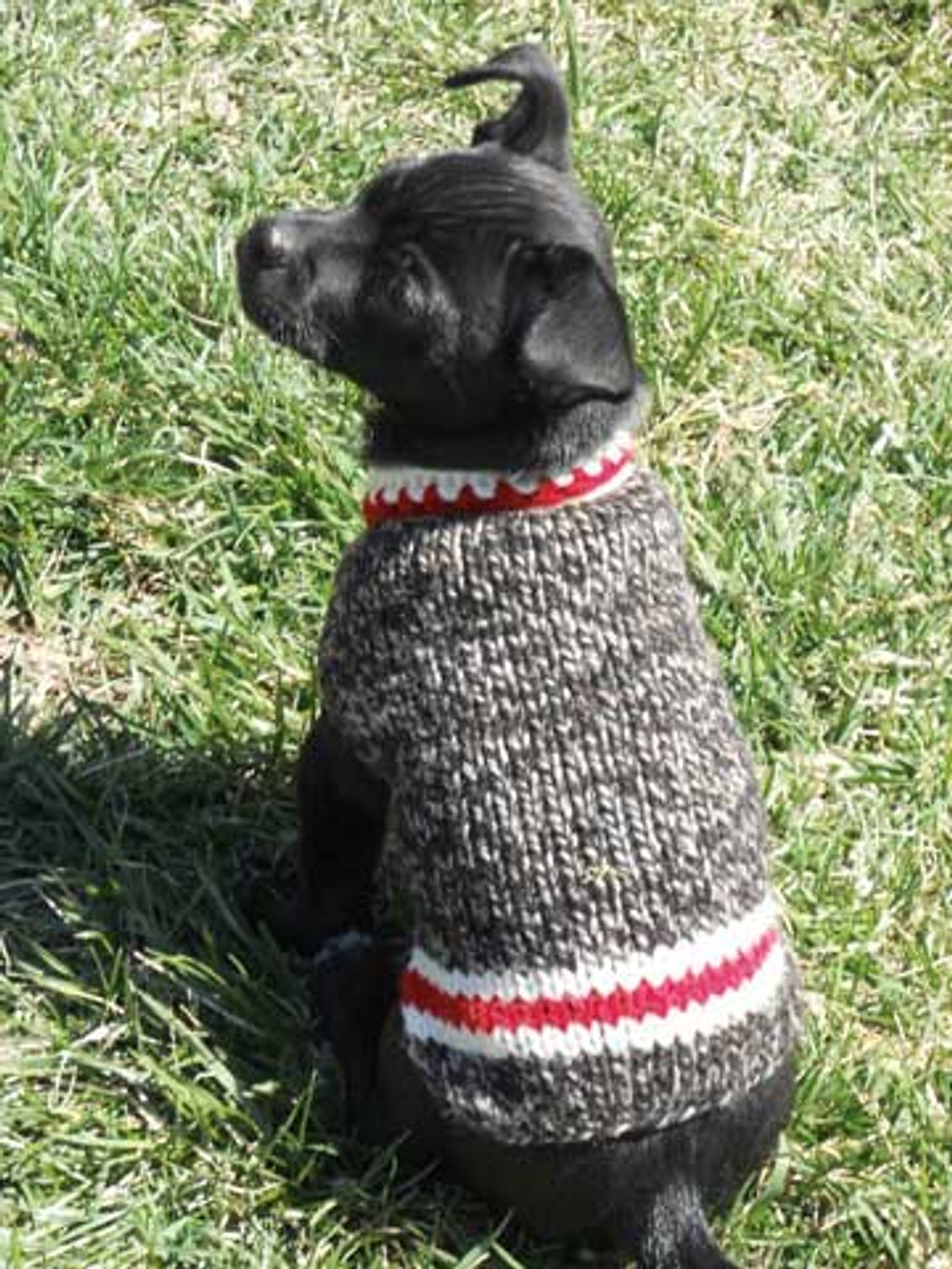 Boyfriend Dog Sweater