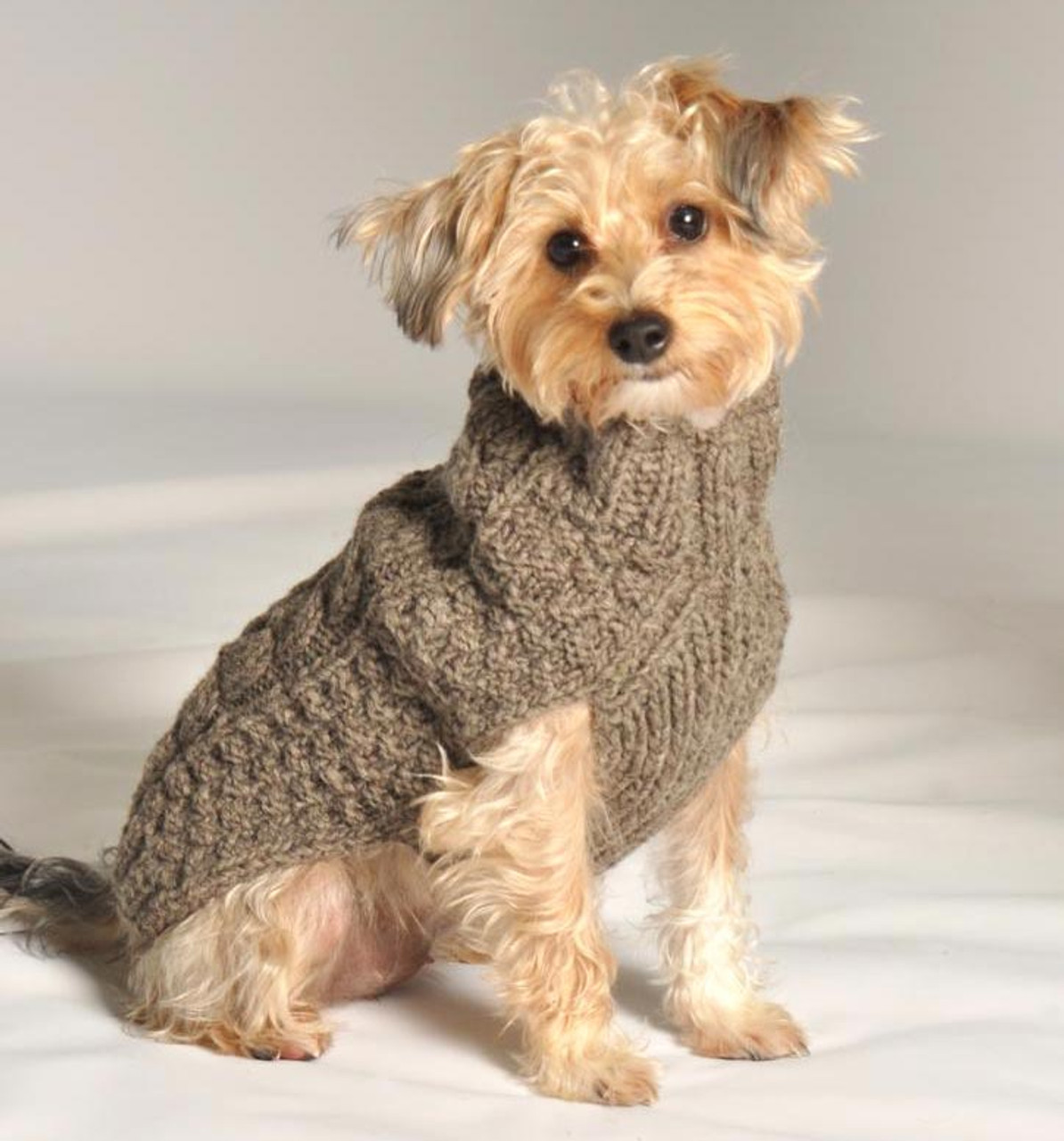 Dog sales knit sweater