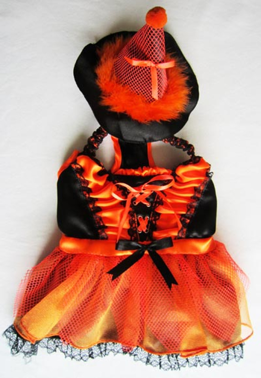 Orange & Black LED Witch Dog Costume