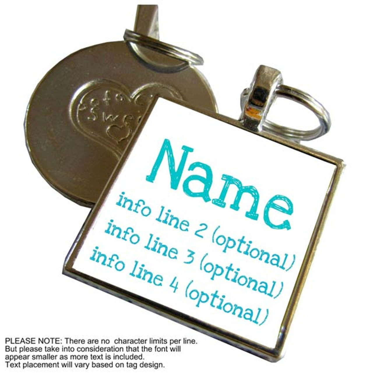 Teal Nameplate Silver Pet ID Tags