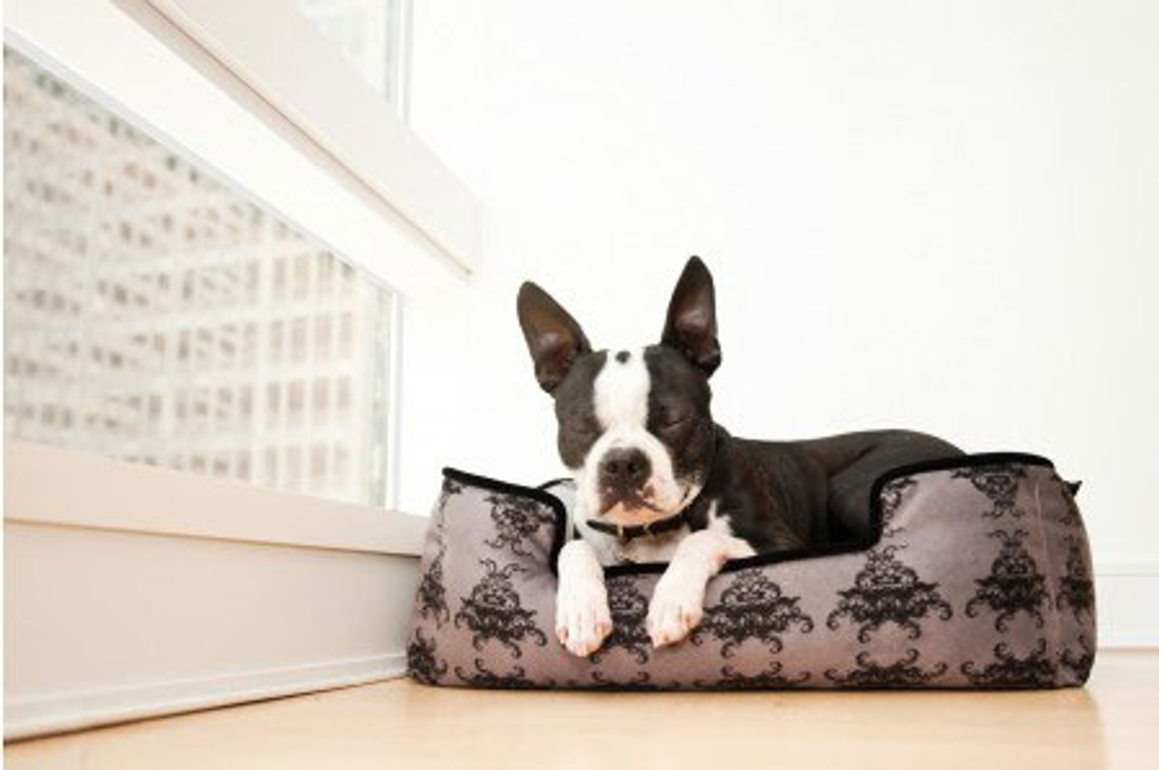 Royal Crest Lounge Dog Bed