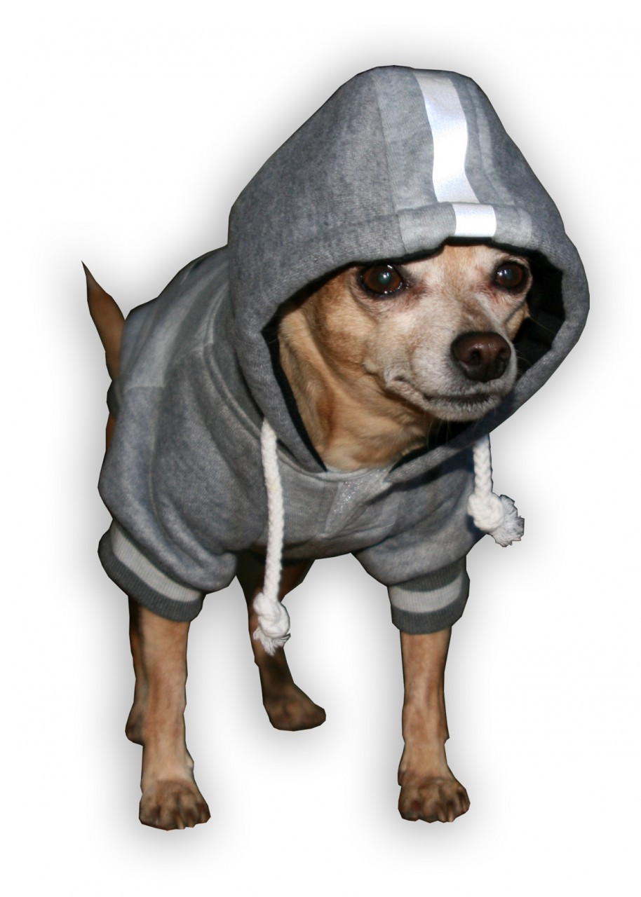 eagles dog hoodie