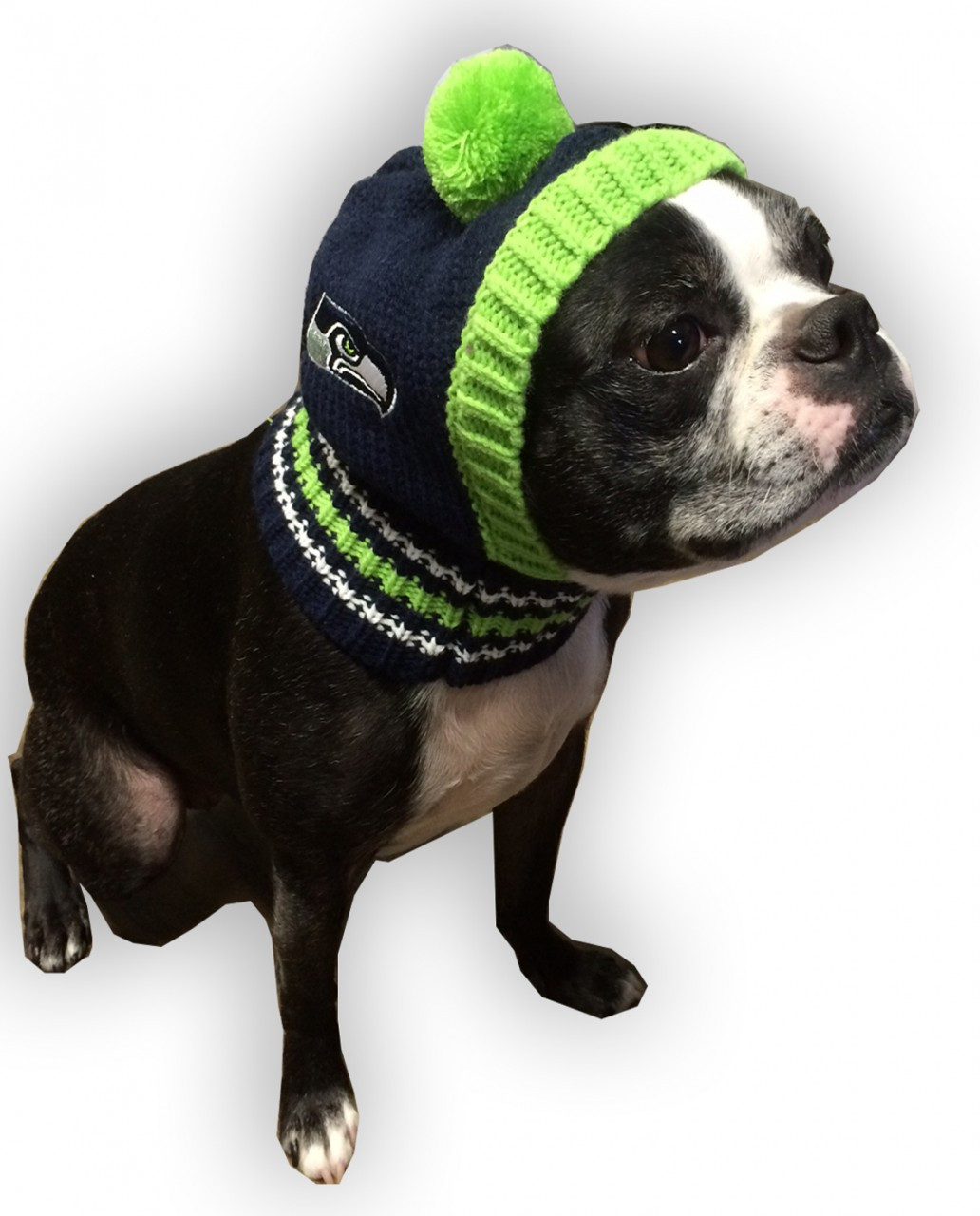 NFL Knit Dog Hats