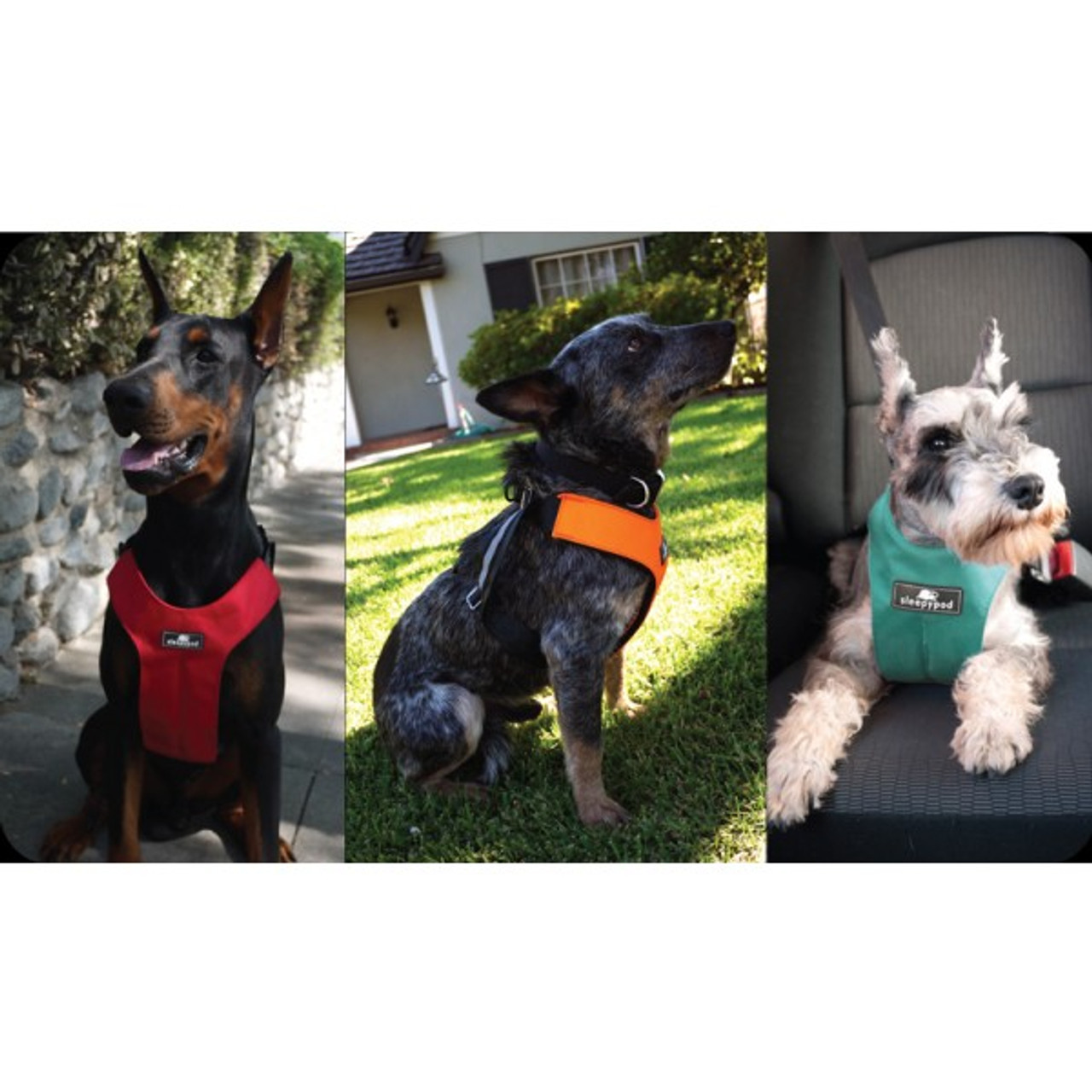 Sleepypod Clickit Sport Utility Dog Harness