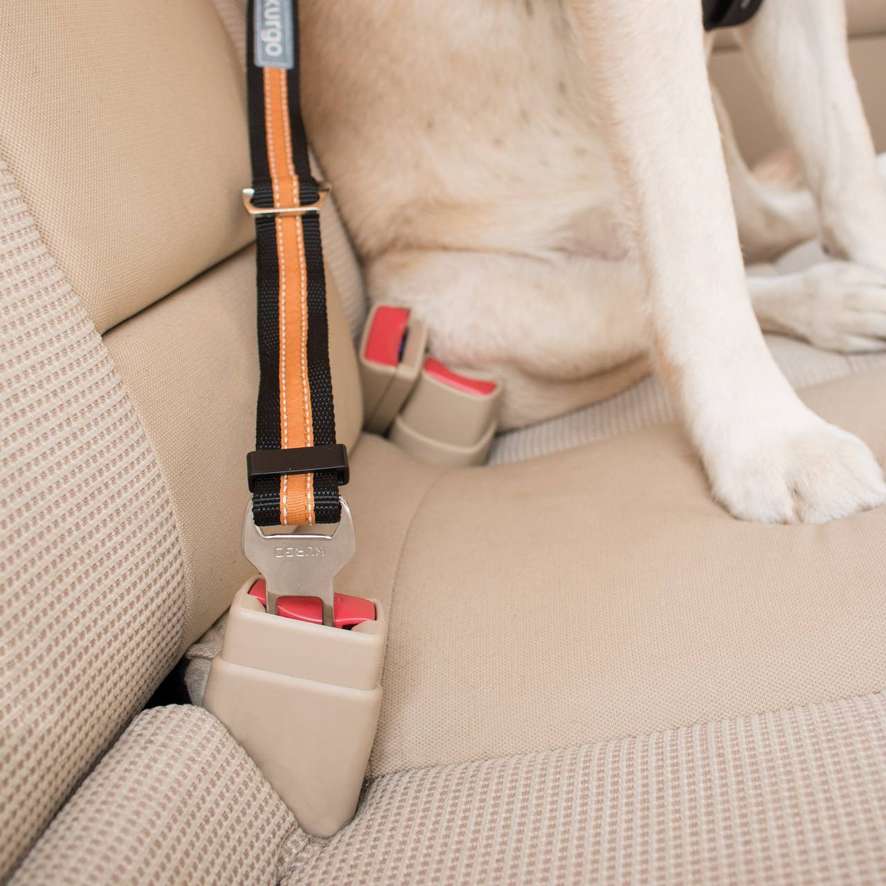 Dog car discount seat belt tether