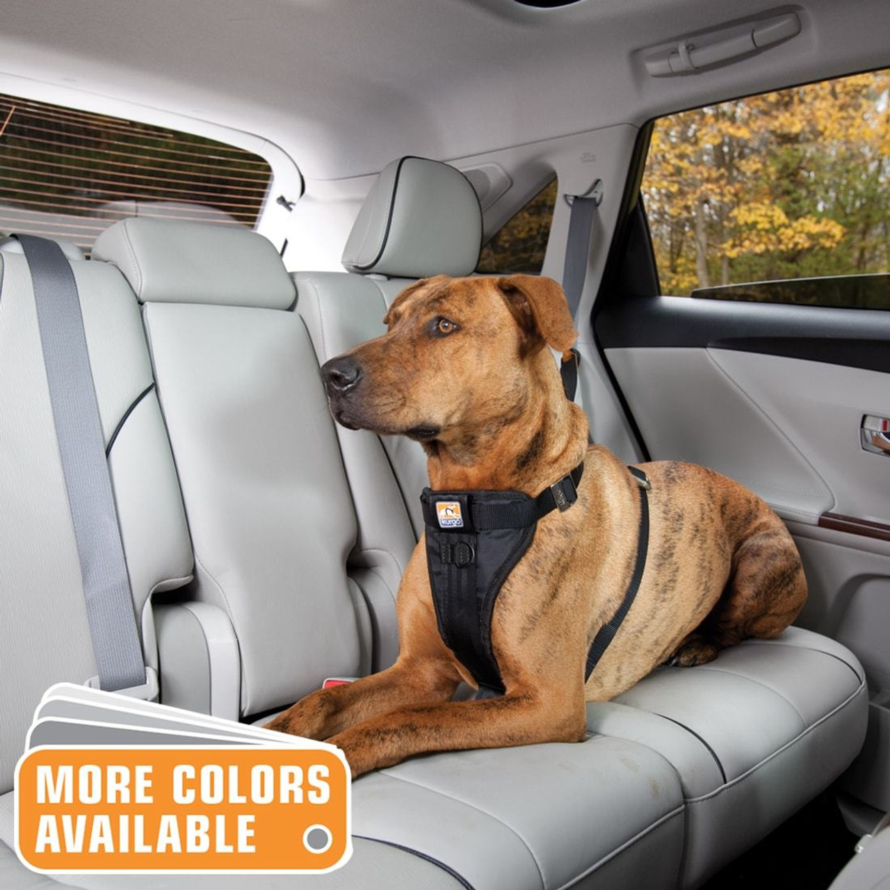 5 Best Dog Harnesses for Car Travel in 2024: Crash-Tested & Safe