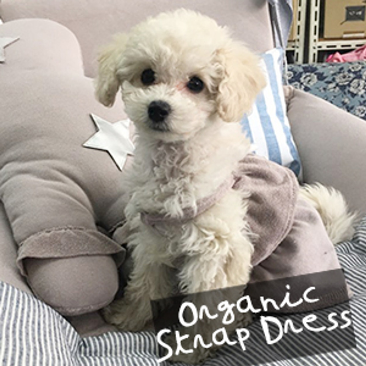 Louisdog Organic Strap Dress