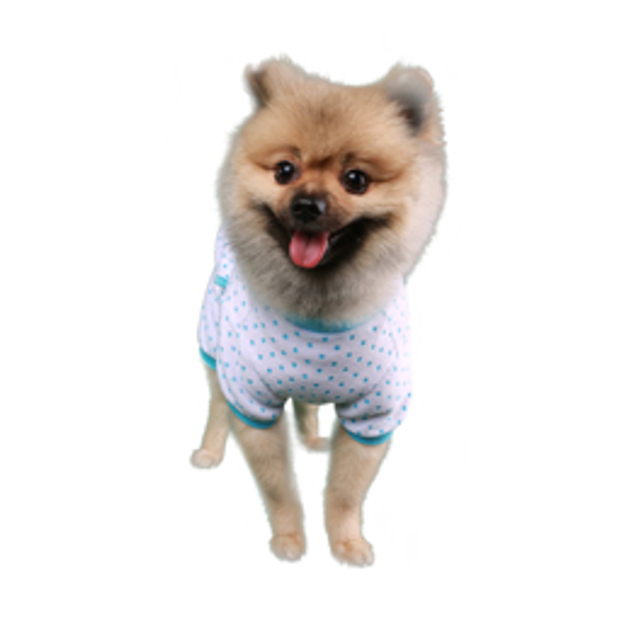 Teddy Dog Pajamas 