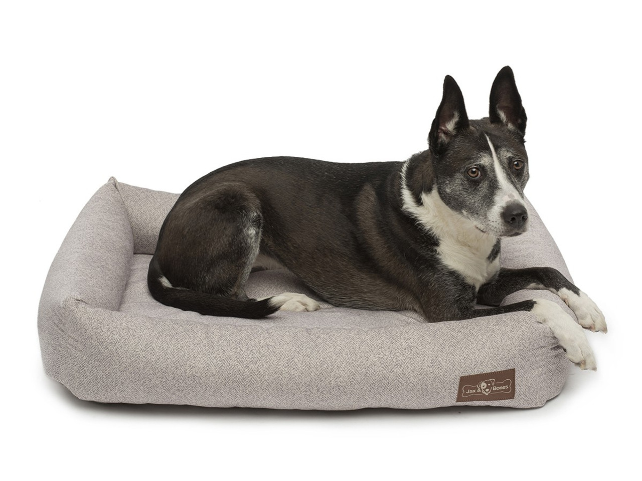 Printed Plush Velour Memory Foam Cuddler Dog Bed