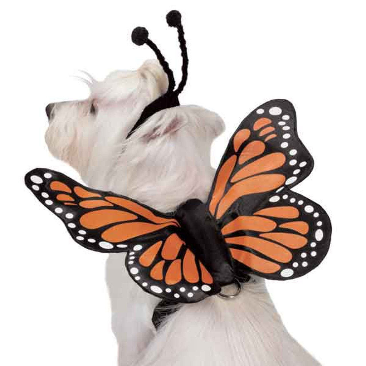 Butterfly Glow Wings Harness Costume 