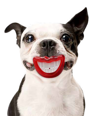 FouFIT Paci-Chew Kauspielzeug Für Hunde – Weiches TPR-Gummi, Mit Quietscher, Lustige Lippen-Form, Fördert Spielspaß