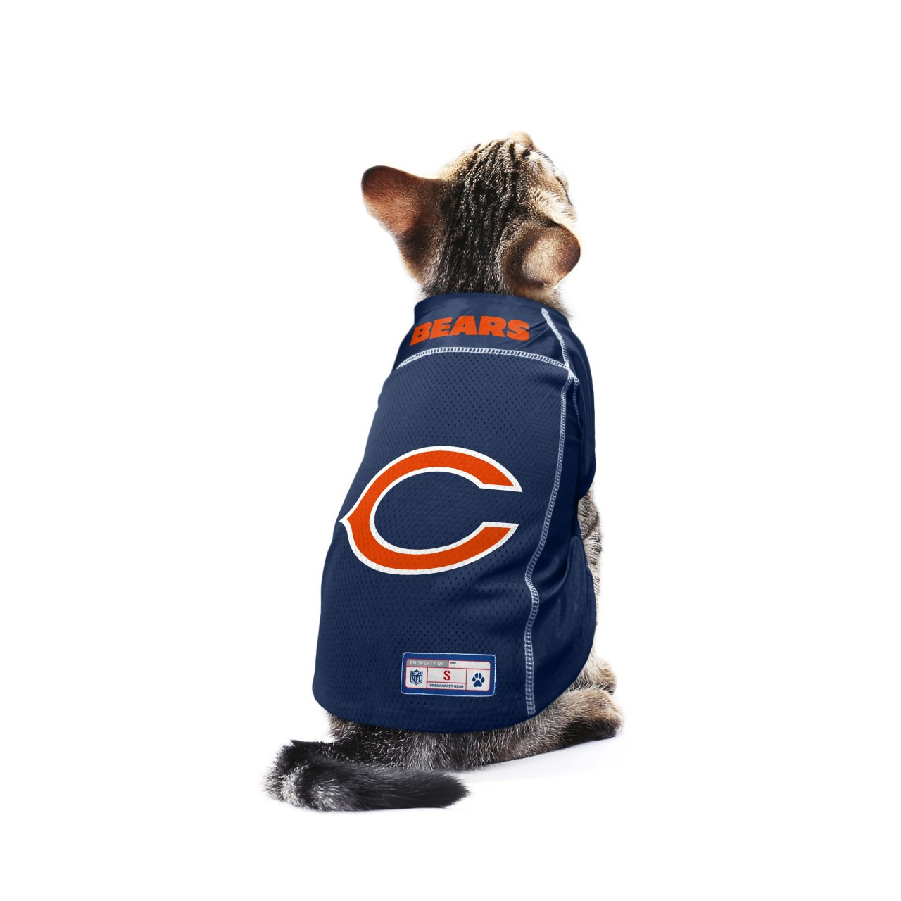 Chicago Bears Big Dog Stretch Jersey