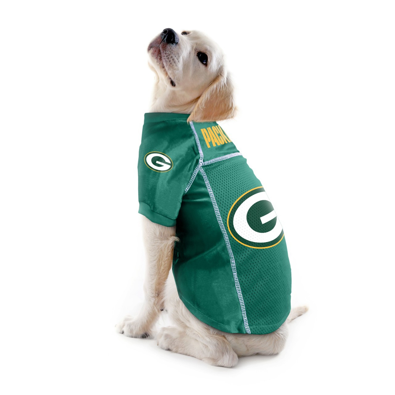 Green Bay Packers Cheer Dog Costume