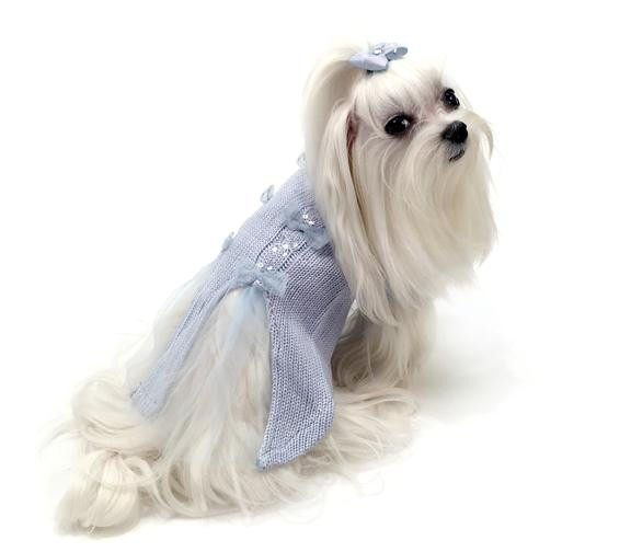 vendors for dog clothes