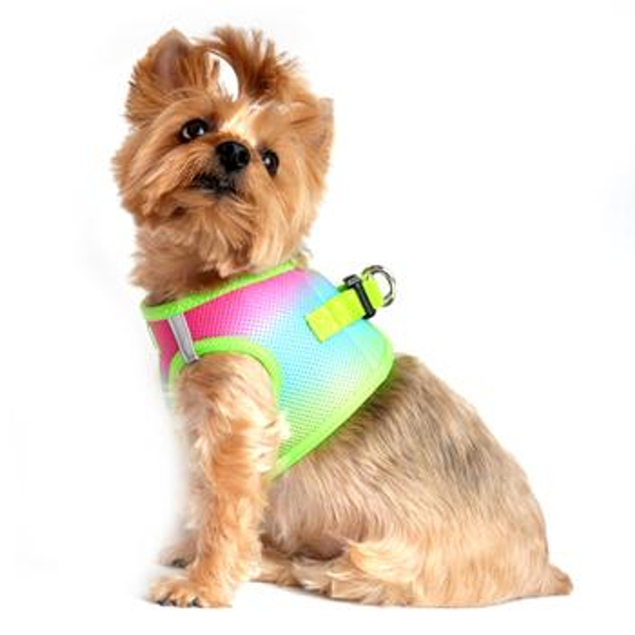 American River Choke Free Ombre Collection Dog Harness 