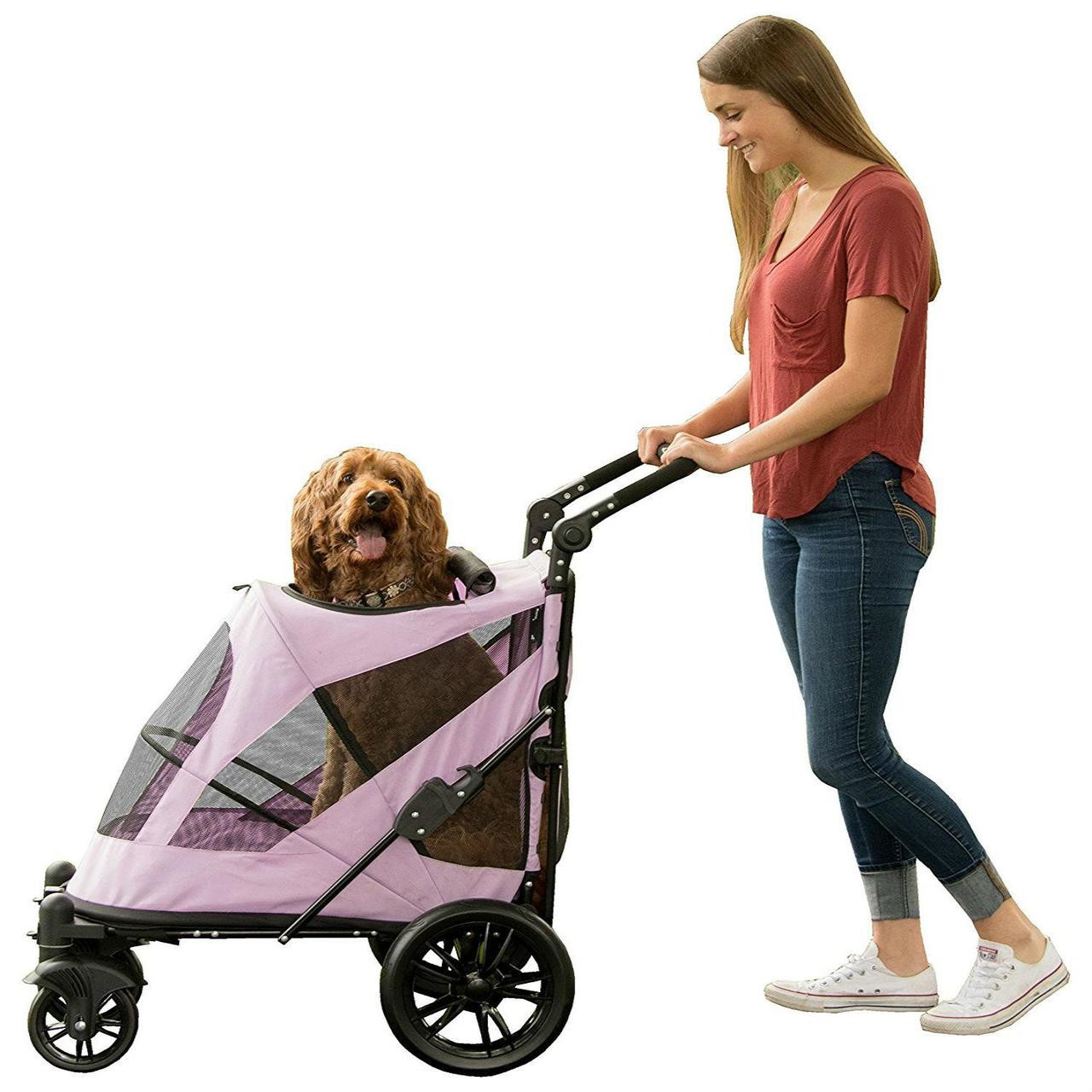 Pet gear hot sale expedition pet stroller