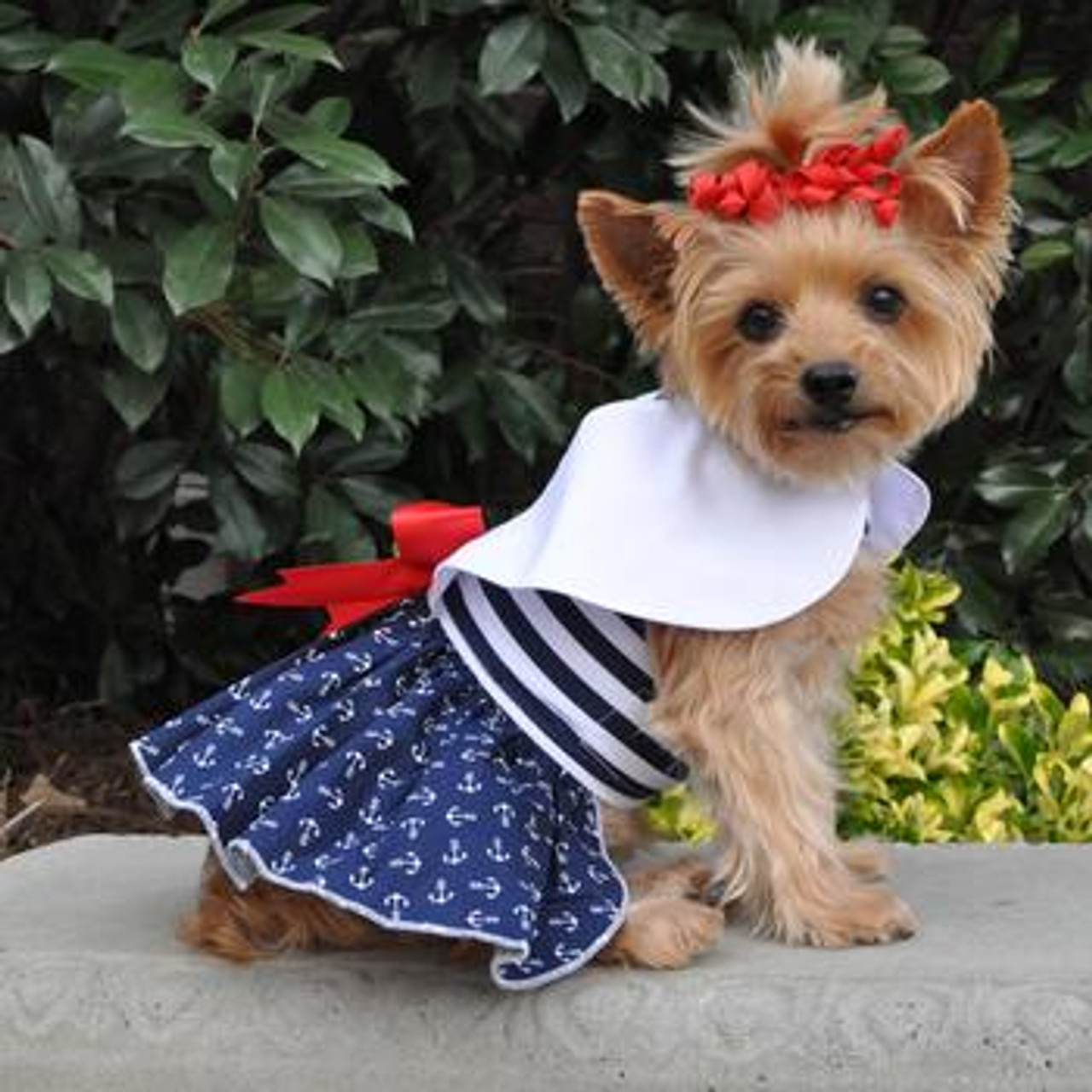 Nautical Dog Dress with Matching Leash