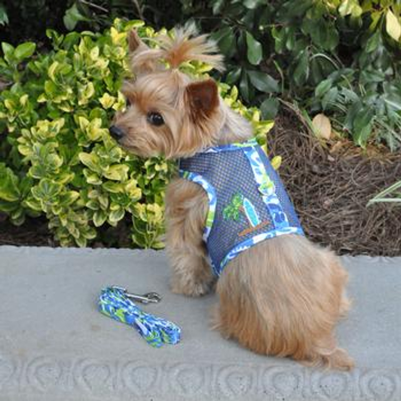 Hawaiian Cool Mesh Harnesses