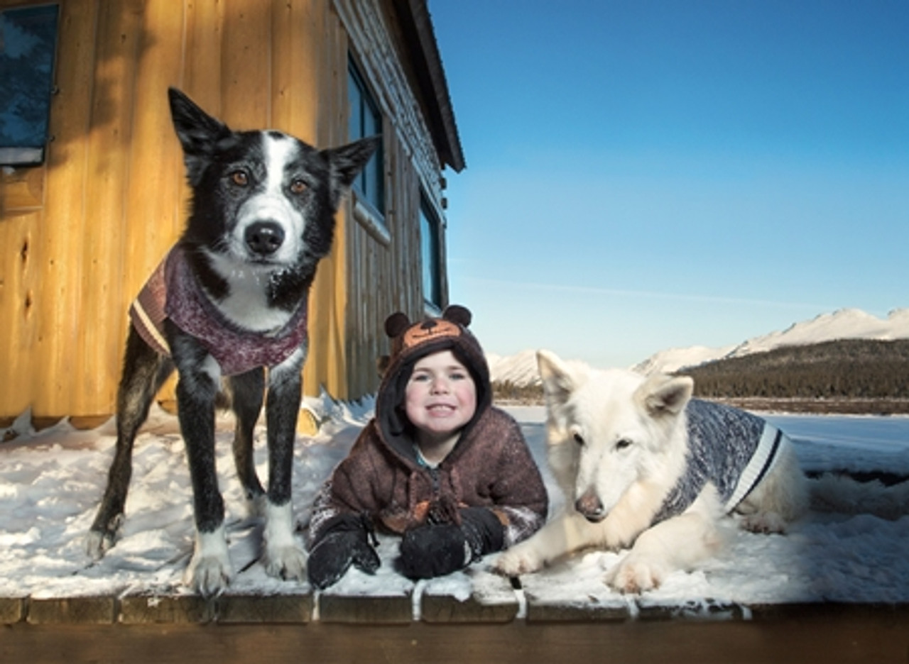 Cabin Dog Sweater