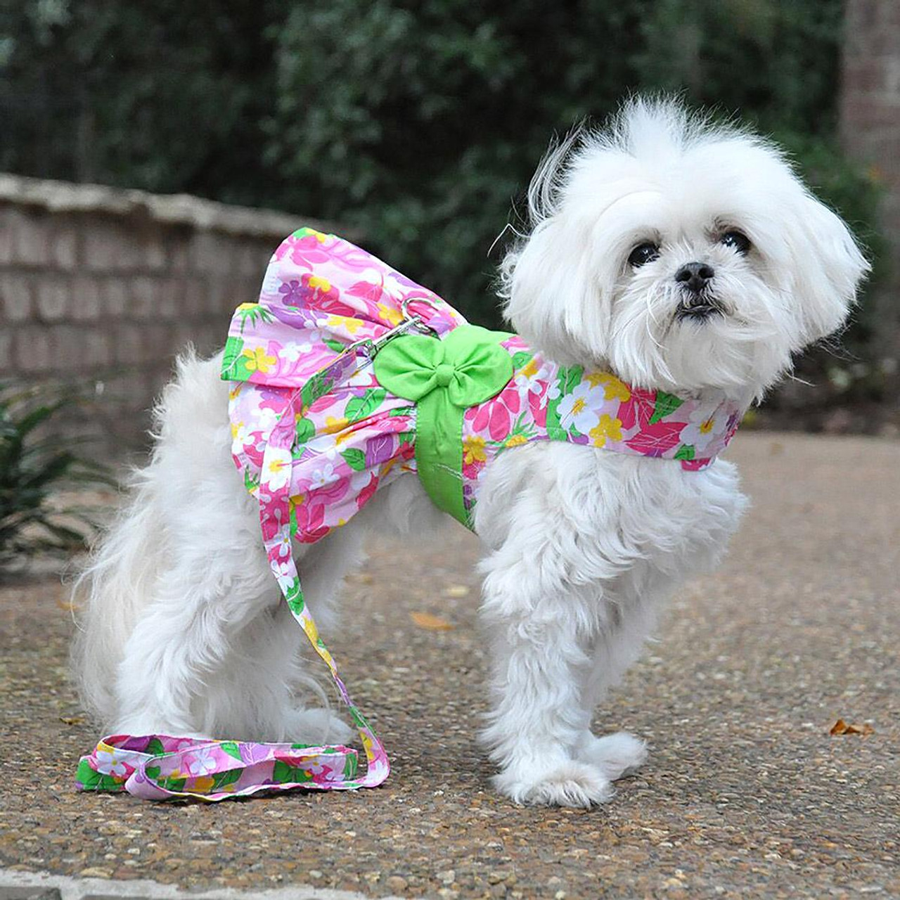 Pink Hawaiian Floral Dog Dress with Matching Leash