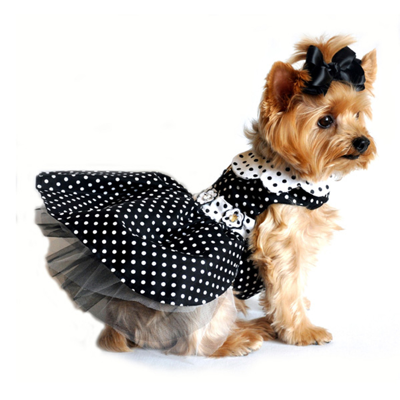 polka dot dog dress