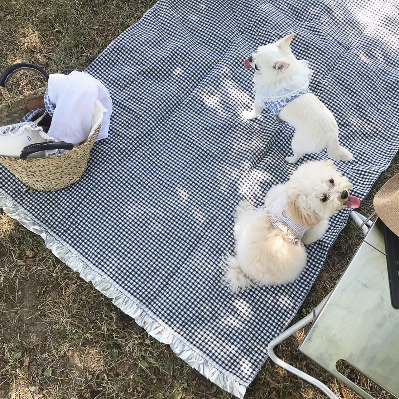 Louisdog Picnic Mat