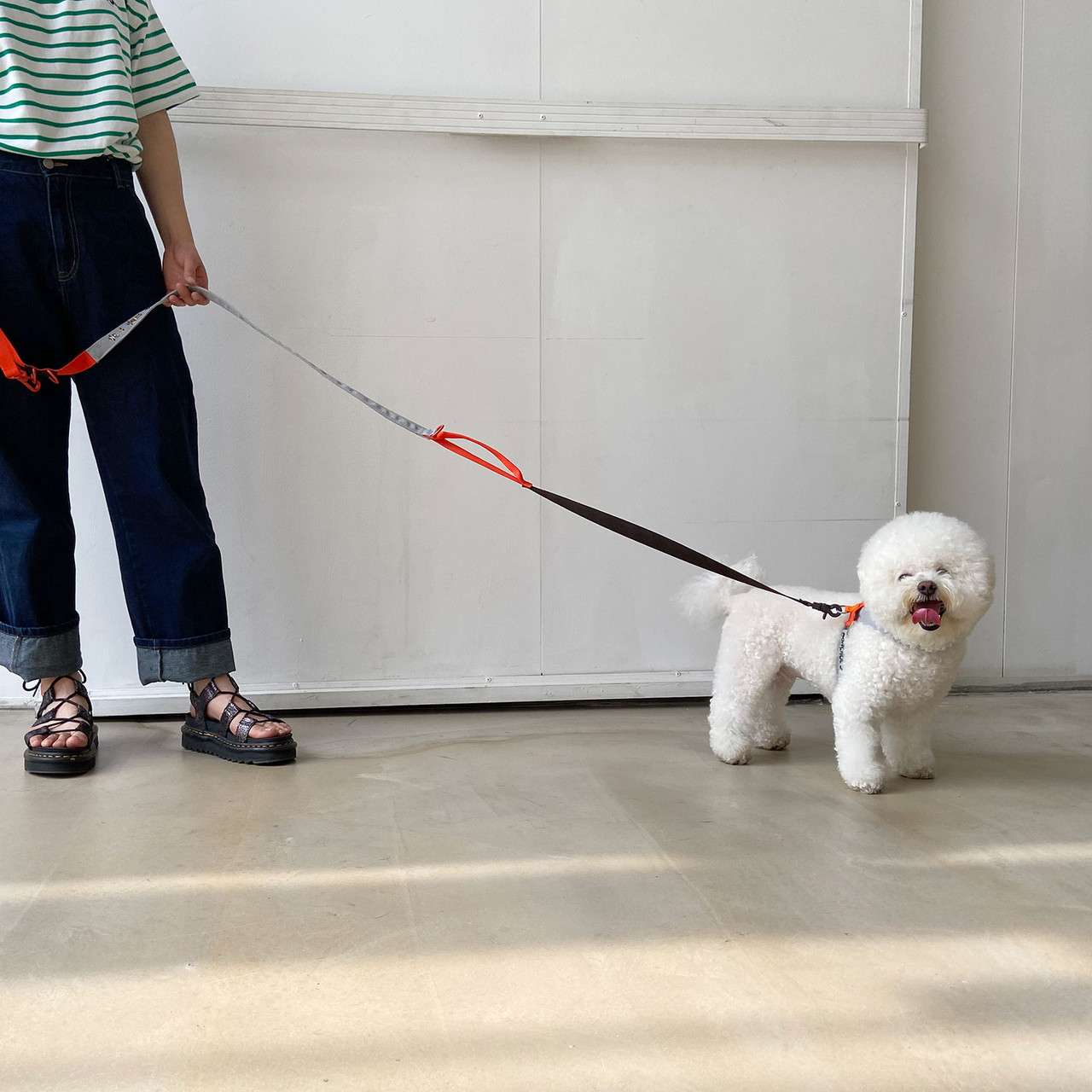 Pony Webbing X Harness - Grey