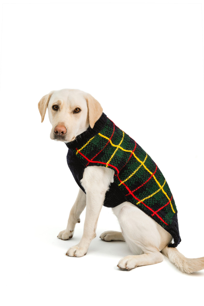 soothing dog paw balm