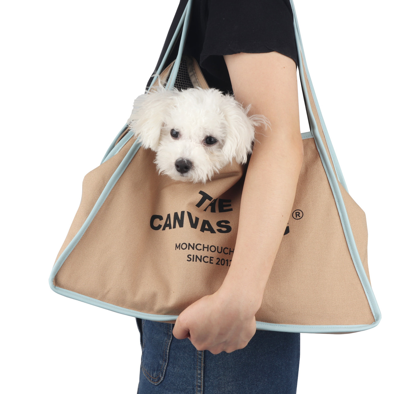 The Canvas Bag - Beige