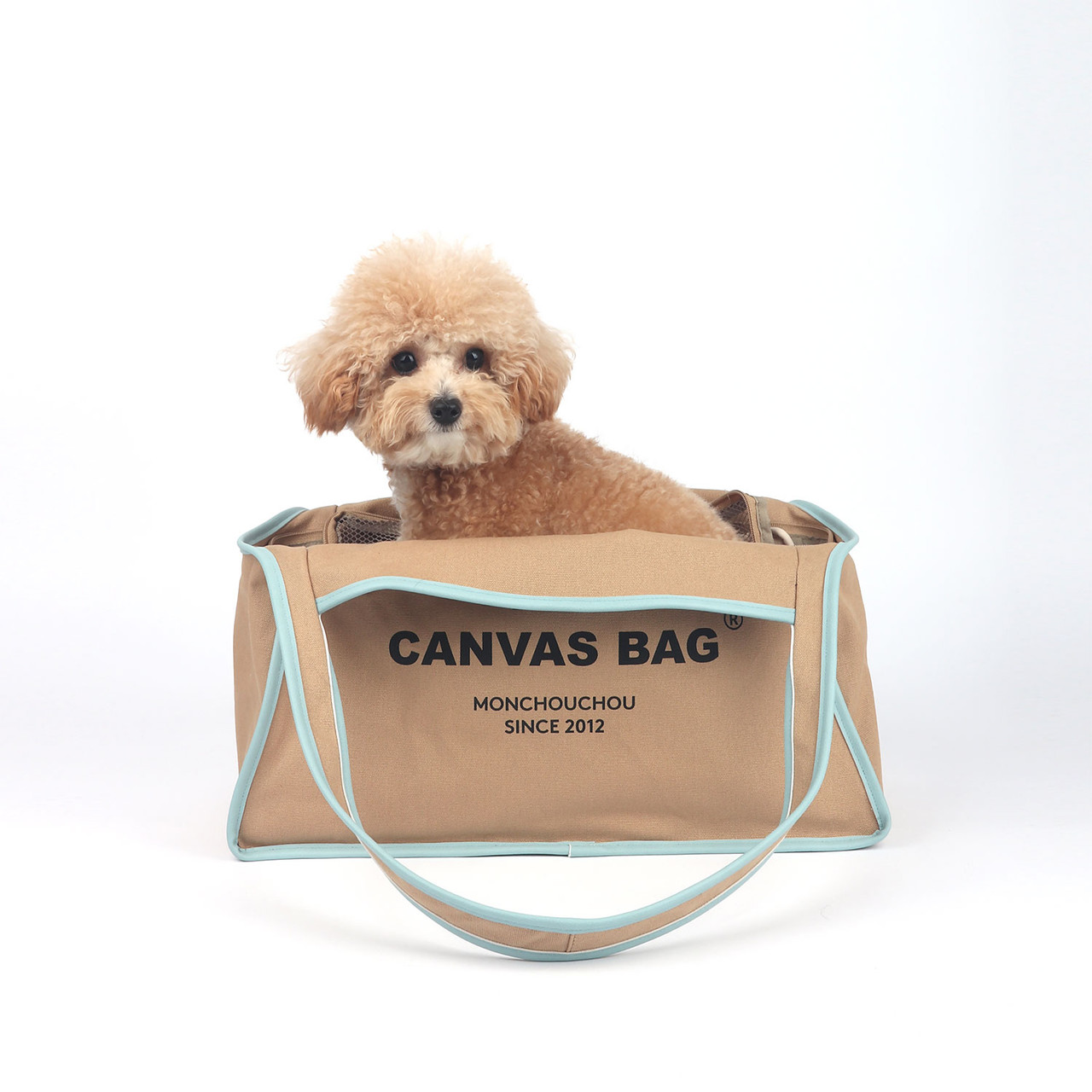 The Canvas Bag - Beige