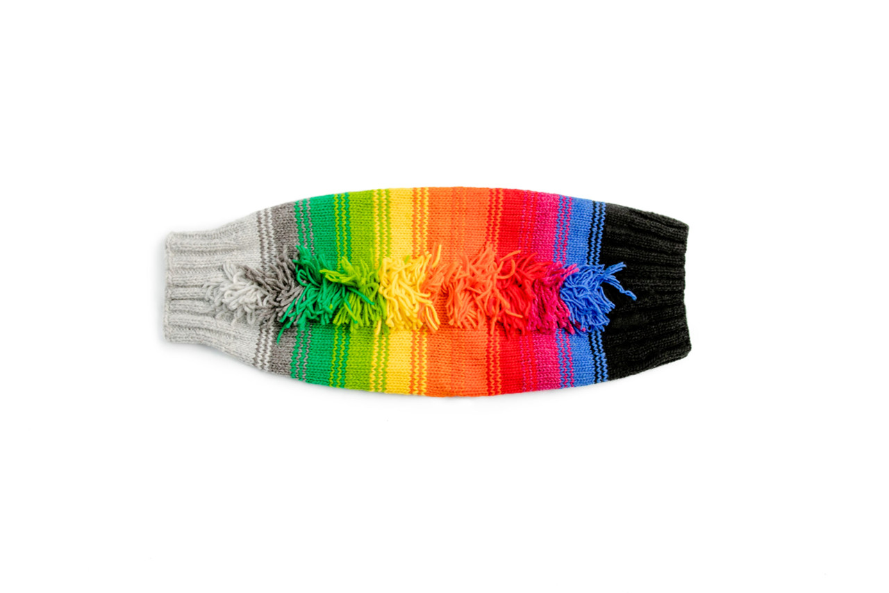 Rainbow Mohawk Dog Sweater